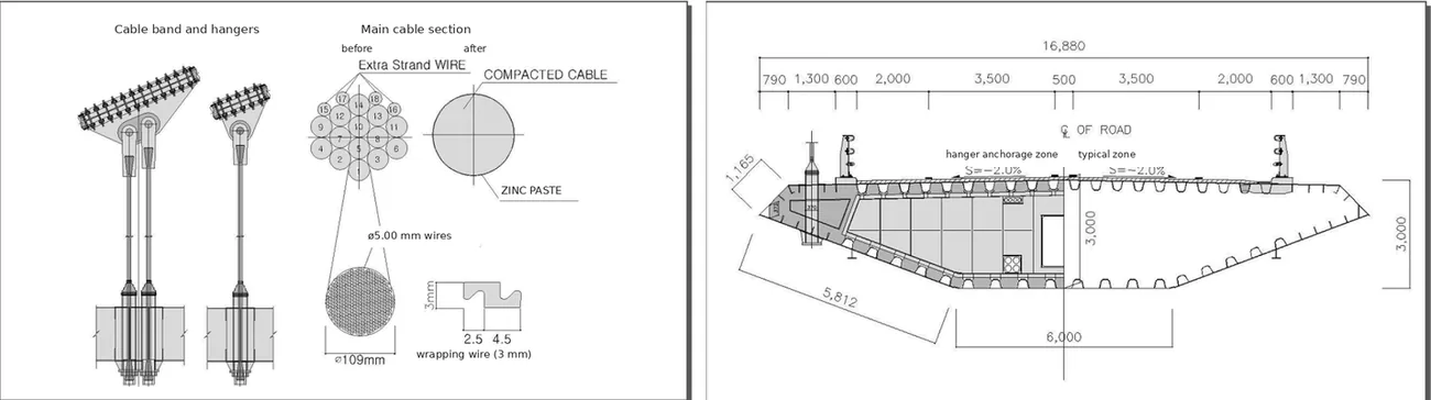 Main cable and deck cross-sections